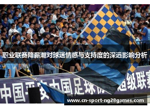 职业联赛降薪潮对球迷情感与支持度的深远影响分析