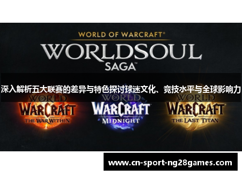 深入解析五大联赛的差异与特色探讨球迷文化、竞技水平与全球影响力