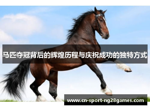 马匹夺冠背后的辉煌历程与庆祝成功的独特方式