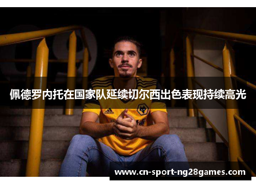 佩德罗内托在国家队延续切尔西出色表现持续高光 佩德罗内托在国家队延续切尔西出色表现持续高光