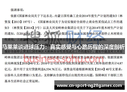 马莱莱谈进球压力:真实感受与心路历程的深度剖析 马莱莱谈进球压力:真实感受与心路历程的深度剖析