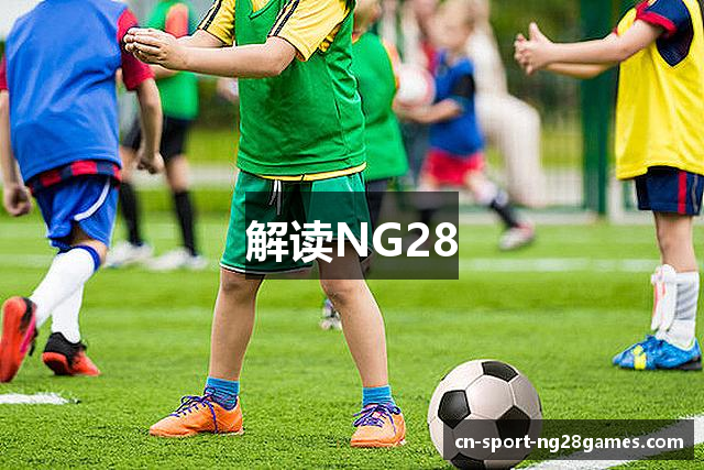 解读NG28